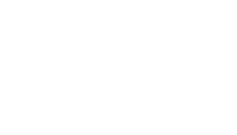 Songni International 기업 로고
